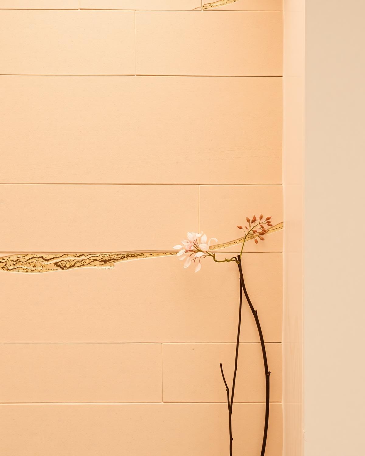 Studio Detail